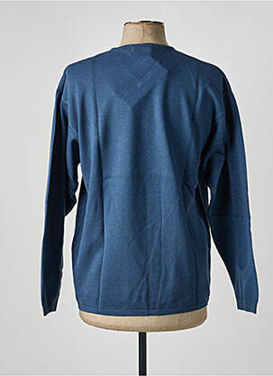Pull col v manches longues bleu PLATINO homme
