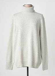 Pull col roulé coupe droite manches longues gris ESTHEME femme