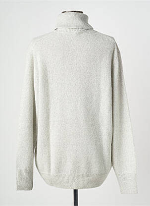 Pull col roulé coupe droite manches longues gris ESTHEME femme
