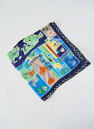 Foulard effet matière satinée bleu STORIATIPIC femme