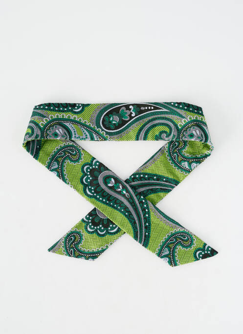 Noeud papillon broderie vert MAISON F homme