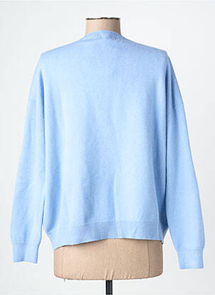 Pull col v manches longues bleu CIVICO 1 femme