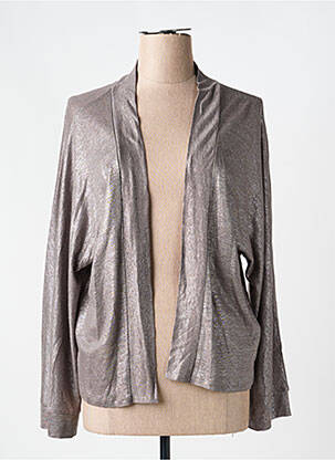 Gilet manches longues col v argent NOTSHY femme