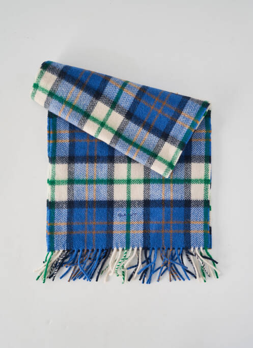 Echarpe imprimé carreaux bleu GANT homme