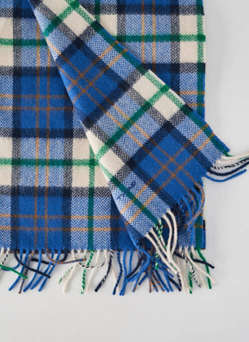 Echarpe imprimé carreaux bleu GANT homme