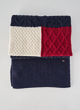 Echarpe stretch bleu TOMMY HILFIGER homme