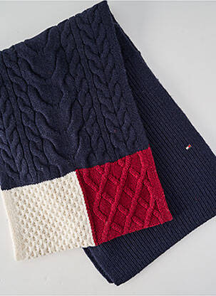 Echarpe stretch bleu TOMMY HILFIGER homme