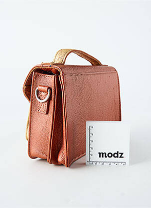 Sac multipoches forme rectangulaire marron LEA.TONI femme