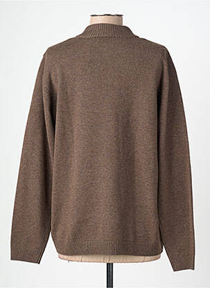 Pull col rond manches longues marron BRANDTEX femme