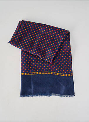 Foulard tissage popeline bleu CAMBRIDGE homme