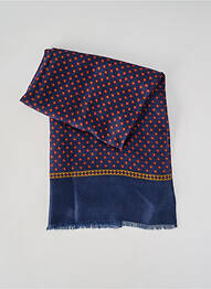 Foulard imprimé fantaisie bleu CAMBRIDGE homme