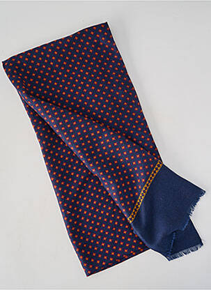 Foulard tissage popeline bleu CAMBRIDGE homme