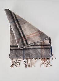 Echarpe finition franges gris CAMBRIDGE homme