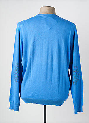 Pull col rond manches longues bleu DELAHAYE homme