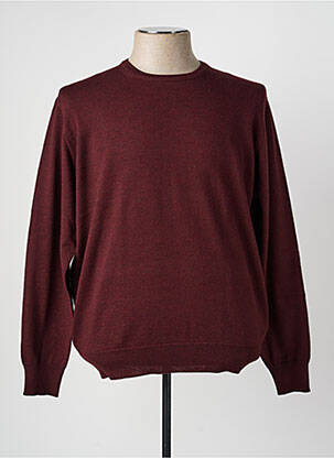 Pull col rond manches longues violet I.ODENA homme
