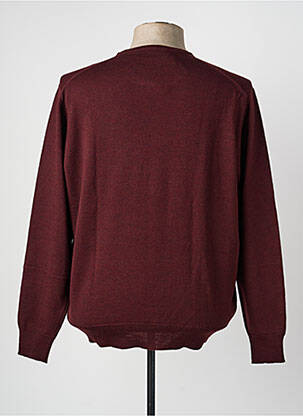 Pull col rond manches longues violet I.ODENA homme