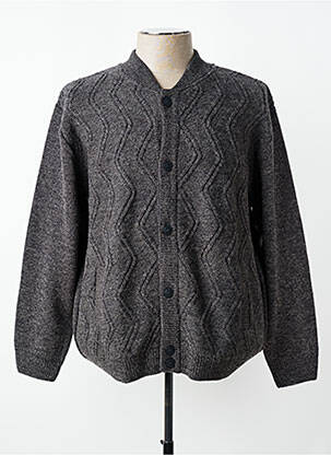 Gilet manches longues fermeture boutonnée sur le devant gris LOUIS VICTOR homme