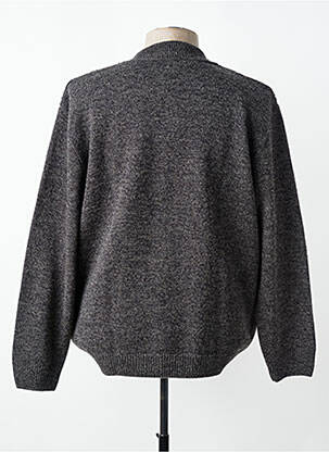 Gilet manches longues fermeture boutonnée sur le devant gris LOUIS VICTOR homme