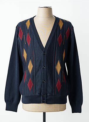 Gilet manches longues col v bleu I.ODENA homme