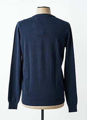 Pull col v manches longues bleu DELAHAYE homme