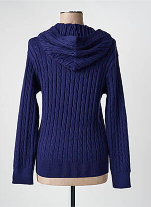 Pull coupe cintrée manches longues bleu CHANTELLE femme