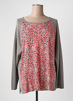 Pull coupe cintrée manches longues gris BASLER femme