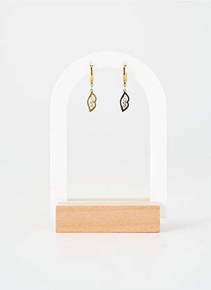 Boucles d’oreilles matériaux métal or ZAG femme