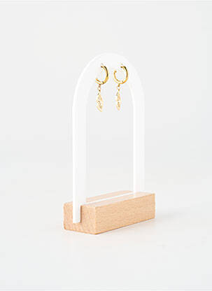 Boucles d’oreilles matériaux métal or ZAG femme