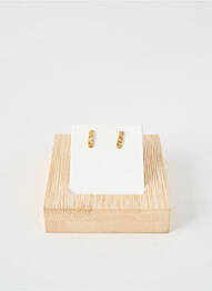 Boucles d’oreilles matériaux métal or ZAG femme