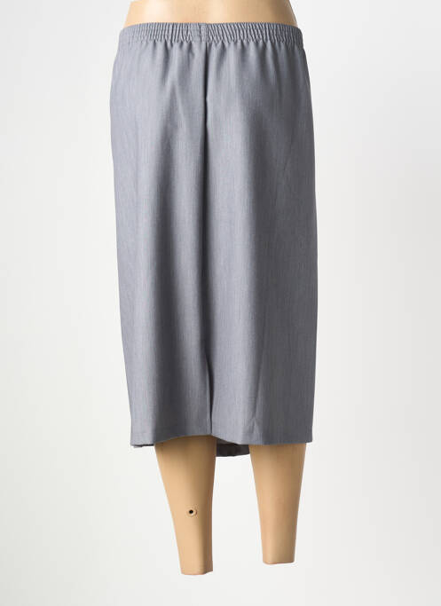 Jupe mi-longue coupe droite gris GRIFFON femme