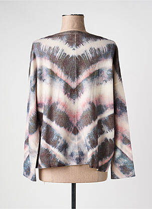 Pull coupe cintrée manches longues gris DEVERNOIS femme