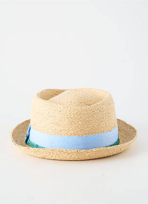 Chapeau forme chapeau paille bleu STETSON homme