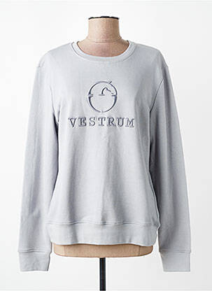 Sweat-shirt broderie manches longues gris VESTRUM femme
