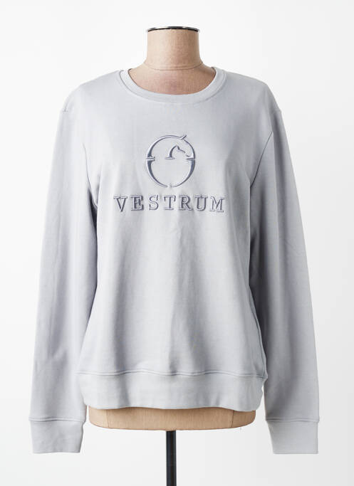 Sweat-shirt manches longues manches longues gris VESTRUM femme
