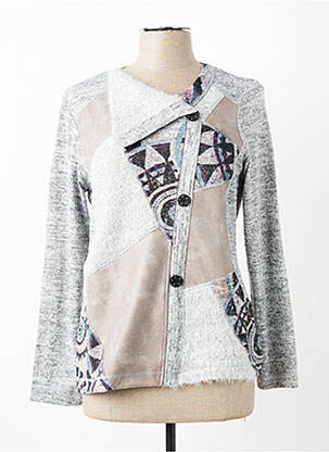 Pull coupe cintrée manches longues gris KALISSON femme