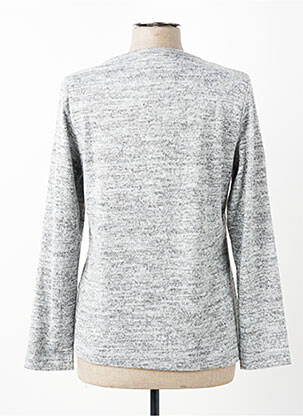 Pull coupe cintrée manches longues gris KALISSON femme
