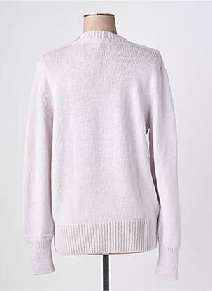 Pull coupe droite manches longues gris MONTAGUT femme