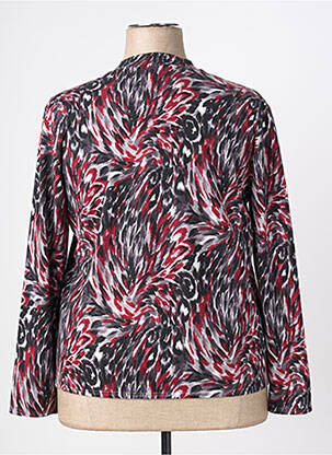 Pull coupe droite manches longues gris GEVANA femme
