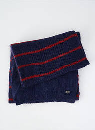 Echarpe imprimé rayures bleu MAT DE MISAINE homme