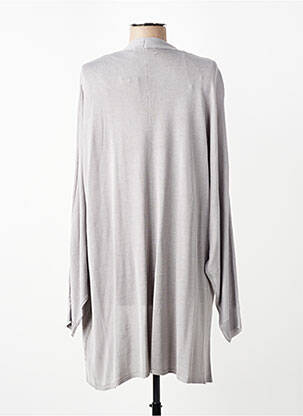 Gilet manches longues col v gris SUZA femme