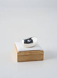 Bague matériaux argent argent CANYON femme