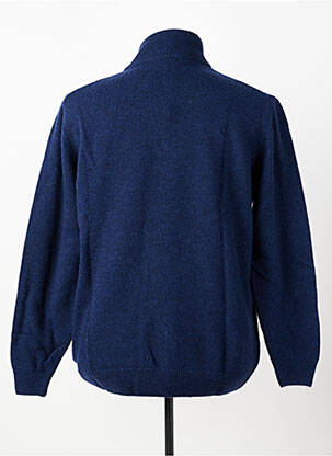 Pull col camionneur manches longues bleu ALDANI homme