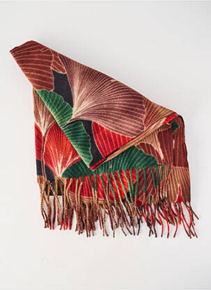 Echarpe imprimé fantaisie marron PALME femme