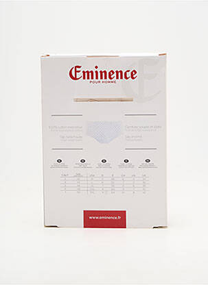 Slip imprimé rayures gris EMINENCE homme