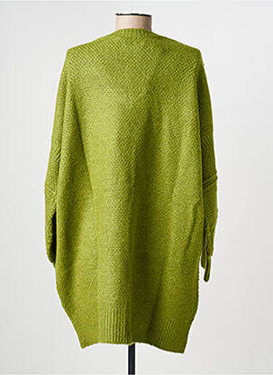 Pull coupe droite manches longues vert RHUM RAISIN femme