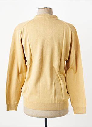 Pull col v manches longues beige BERAC homme