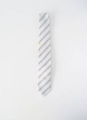 Cravate imprimé rayures gris FRED GIL homme