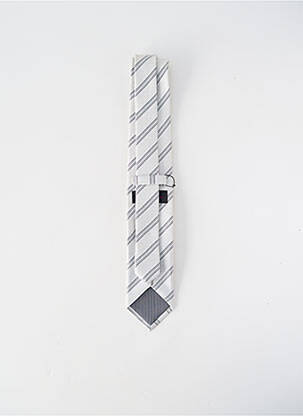 Cravate imprimé rayures gris FRED GIL homme