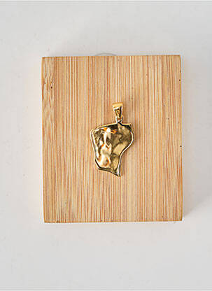 Pendentif matériaux plaqué or or TATA GISELE femme