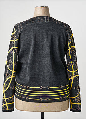 Pull coupe droite manches longues gris SAINT CHARLES femme